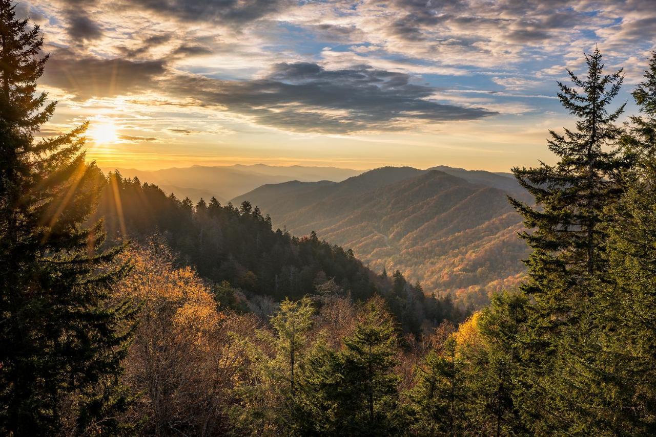 Majestic View Whispering Pines 653 Lejlighed Pigeon Forge Eksteriør billede